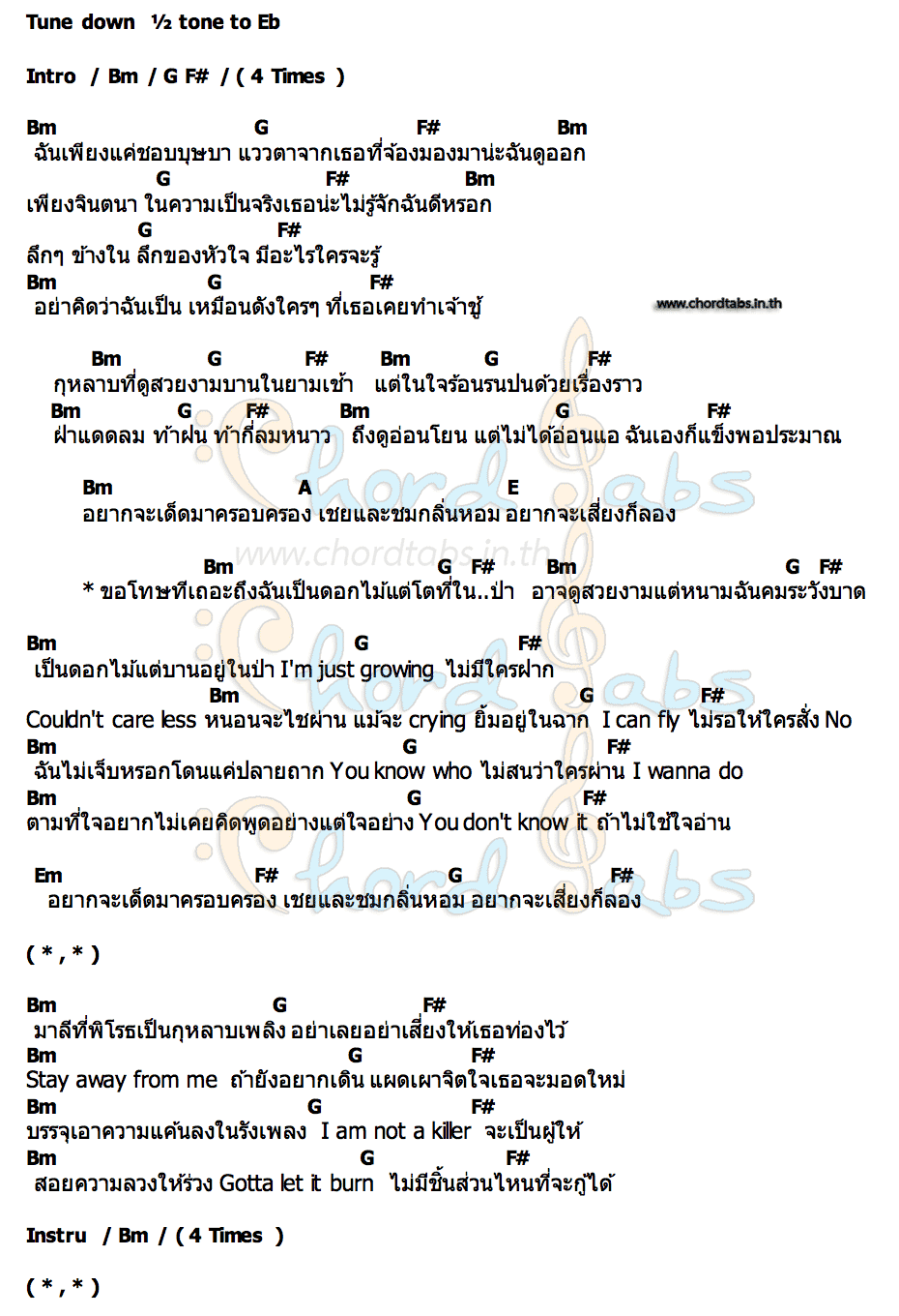 คอร์ด กุหลาบเพลิง เนติรัตน์ พงษ์สมบูรณ์   20 October