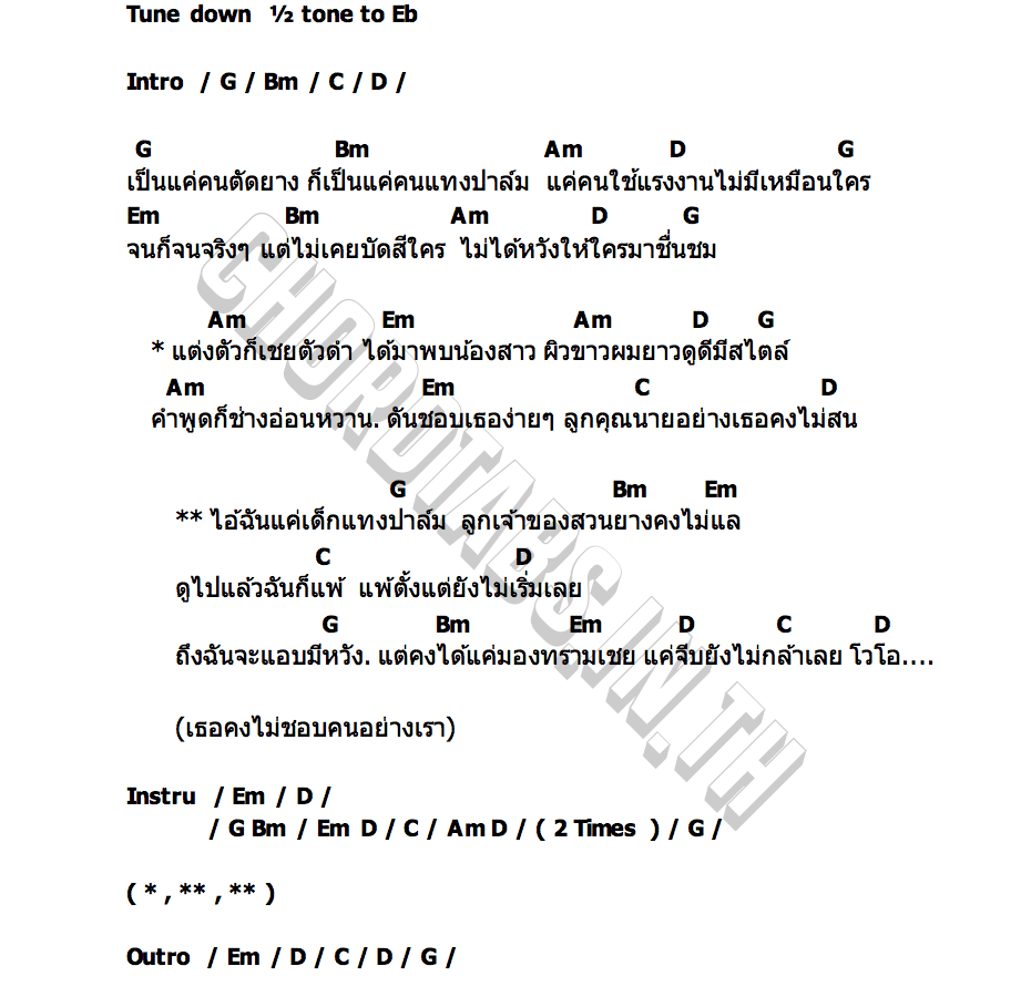 คอร์ด เด็กแทงปาล์ม โซลิต