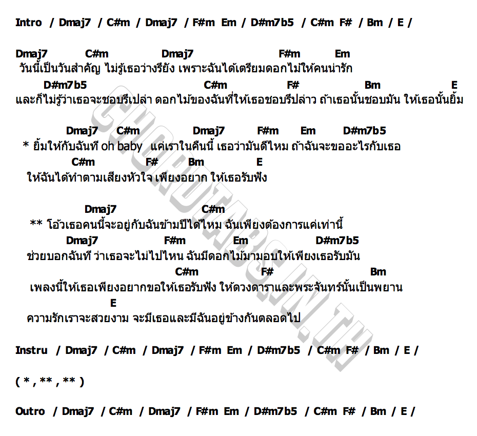 คอร์ด 365 365 NDGX