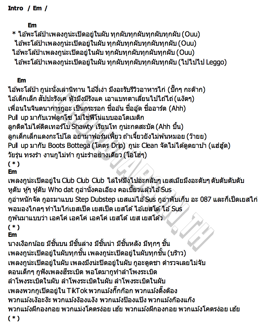 คอร์ด พะโล้ป่า GUNNER