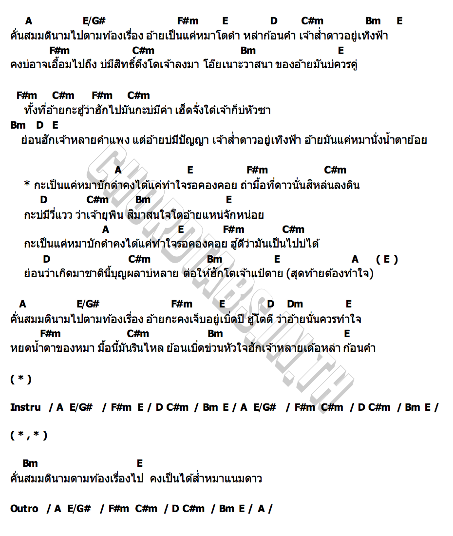 คอร์ด หมาบักดำ ต๊ะ มิสเตอร์เเคน