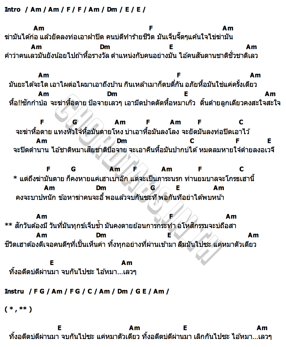 คอร์ด หมาตัวเดียว เอรีน ไตรโทน