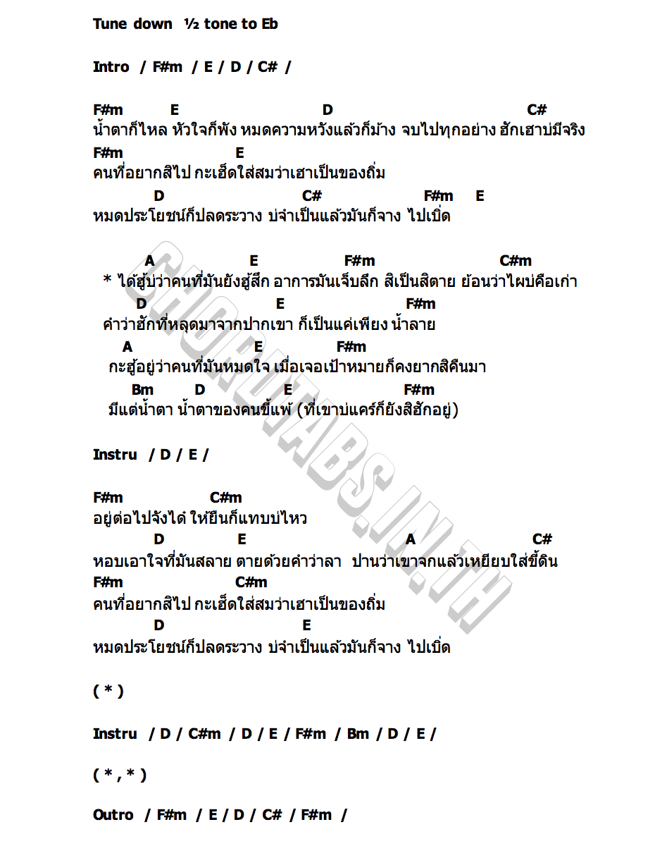 คอร์ด กระต่าย พรรณนิภา เจ็บลึก