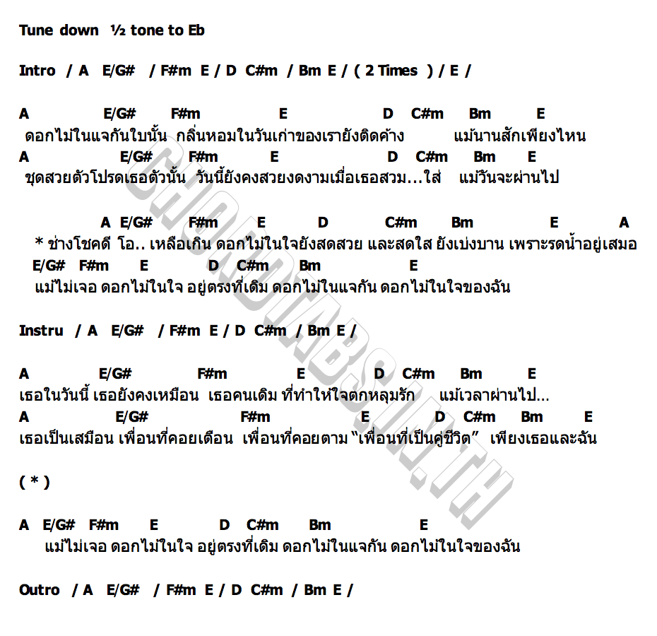 คอร์ด ดอกไม้ในแจกัน ฉลามผู้สร้างสรรค์