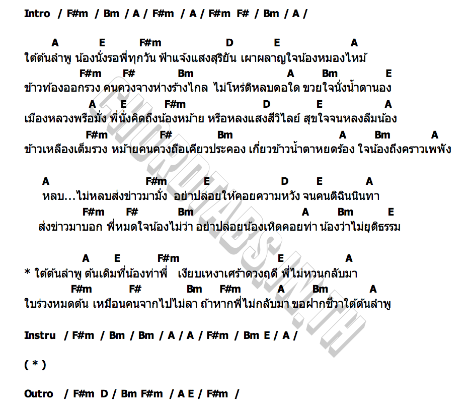 คอร์ด รักหล่นใต้ต้นลำพู ดร.ติ้งตรัง ศุภวรรณ