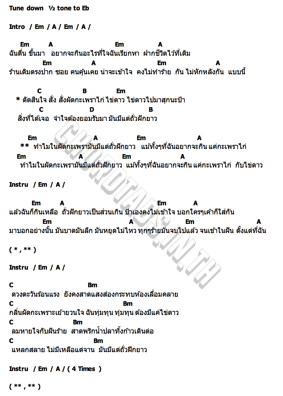 คอร์ด กะเพราไก่ไม่ใส่ถั่วฝักยาว CAM ME MAEW