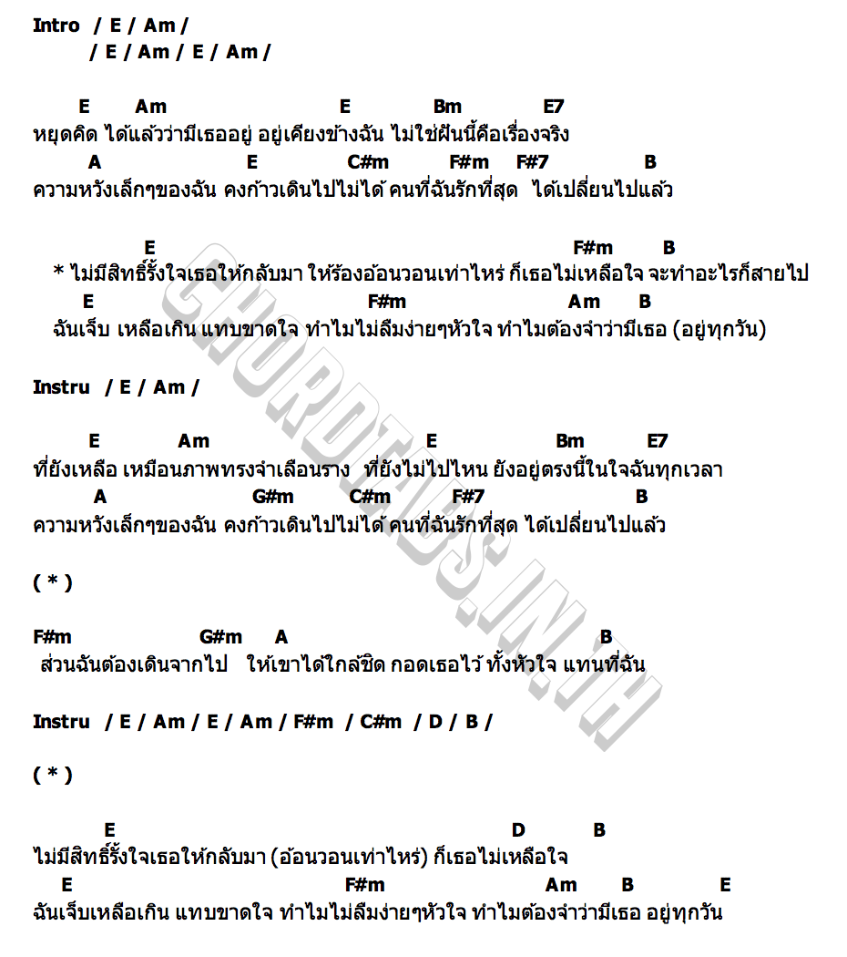 คอร์ด ไม่เหลือใจ New Travelers