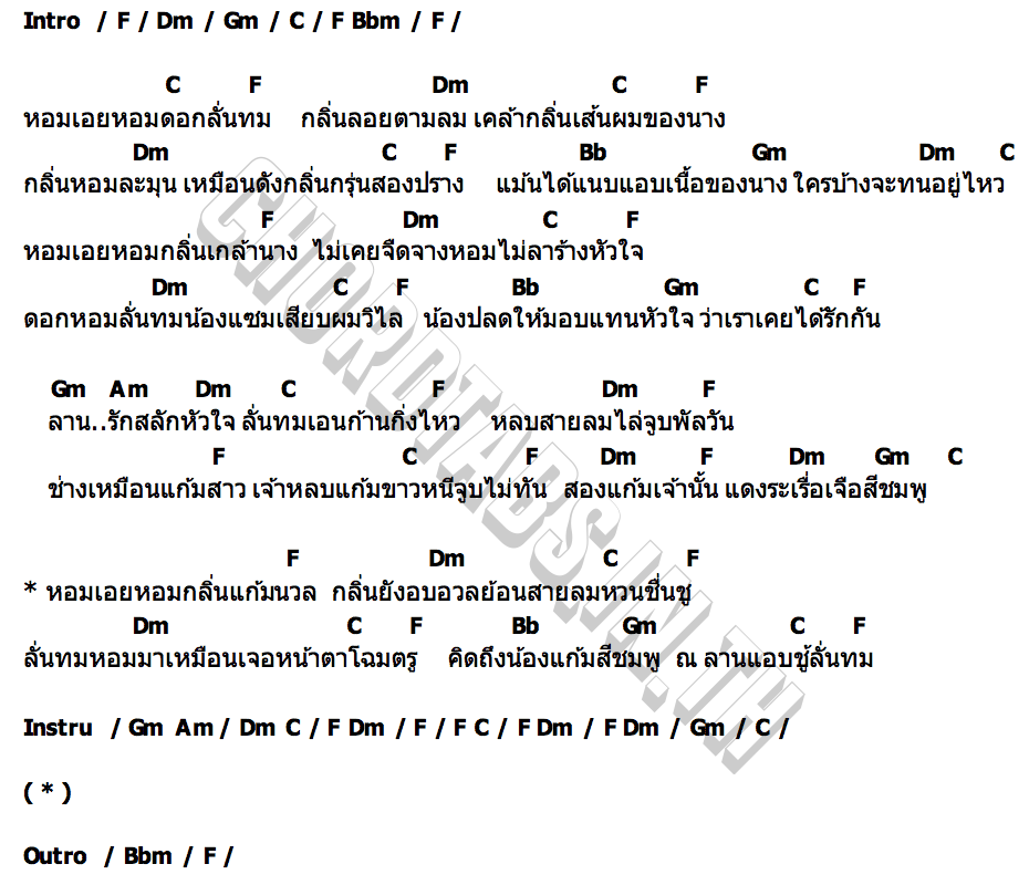 คอร์ด ลานรักลั่นทม หนู มิเตอร์ Rsiam