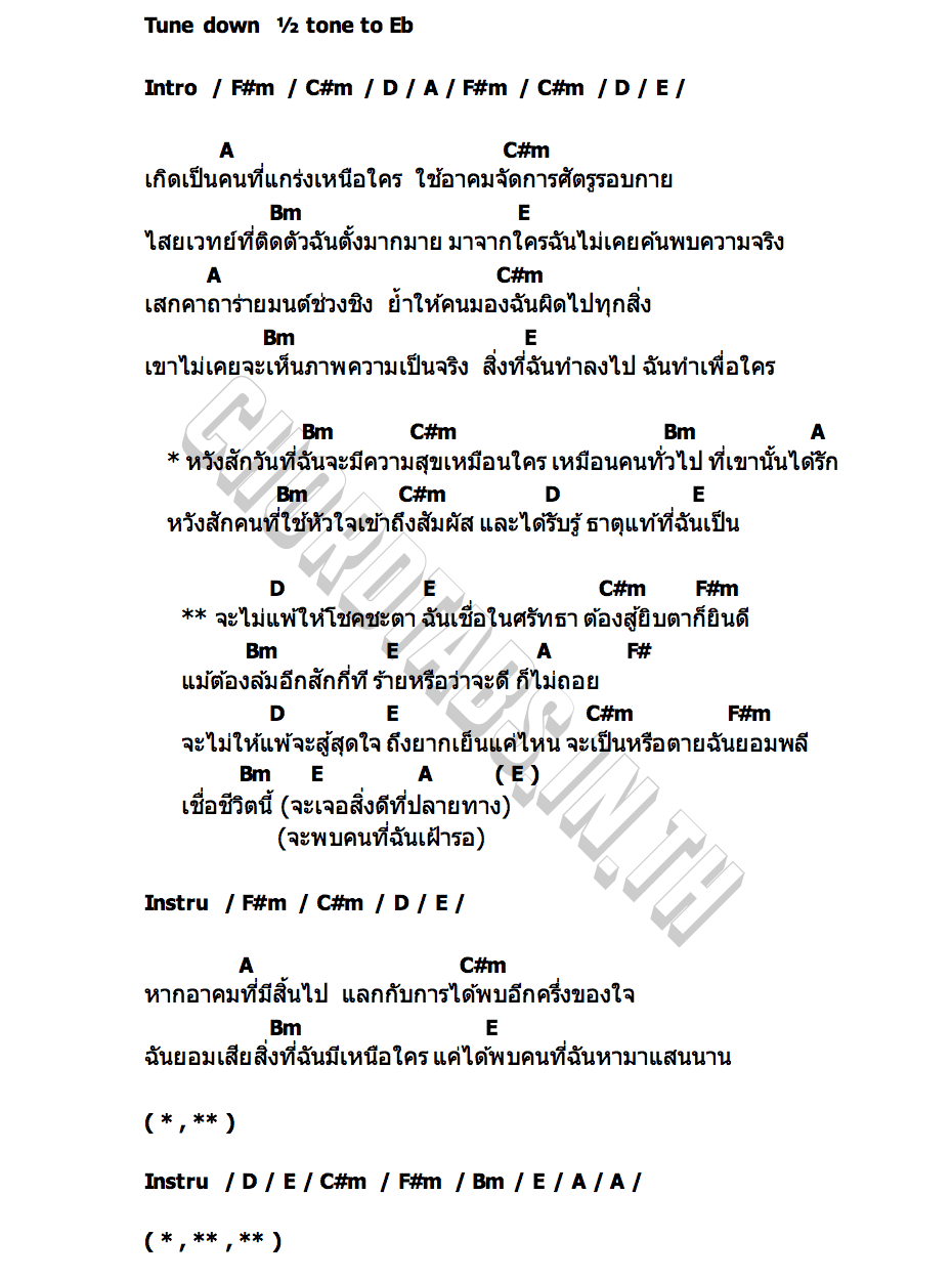 คอร์ด สู้ยิบตา ออยเลอร์ ไทดอลมิวสิค
