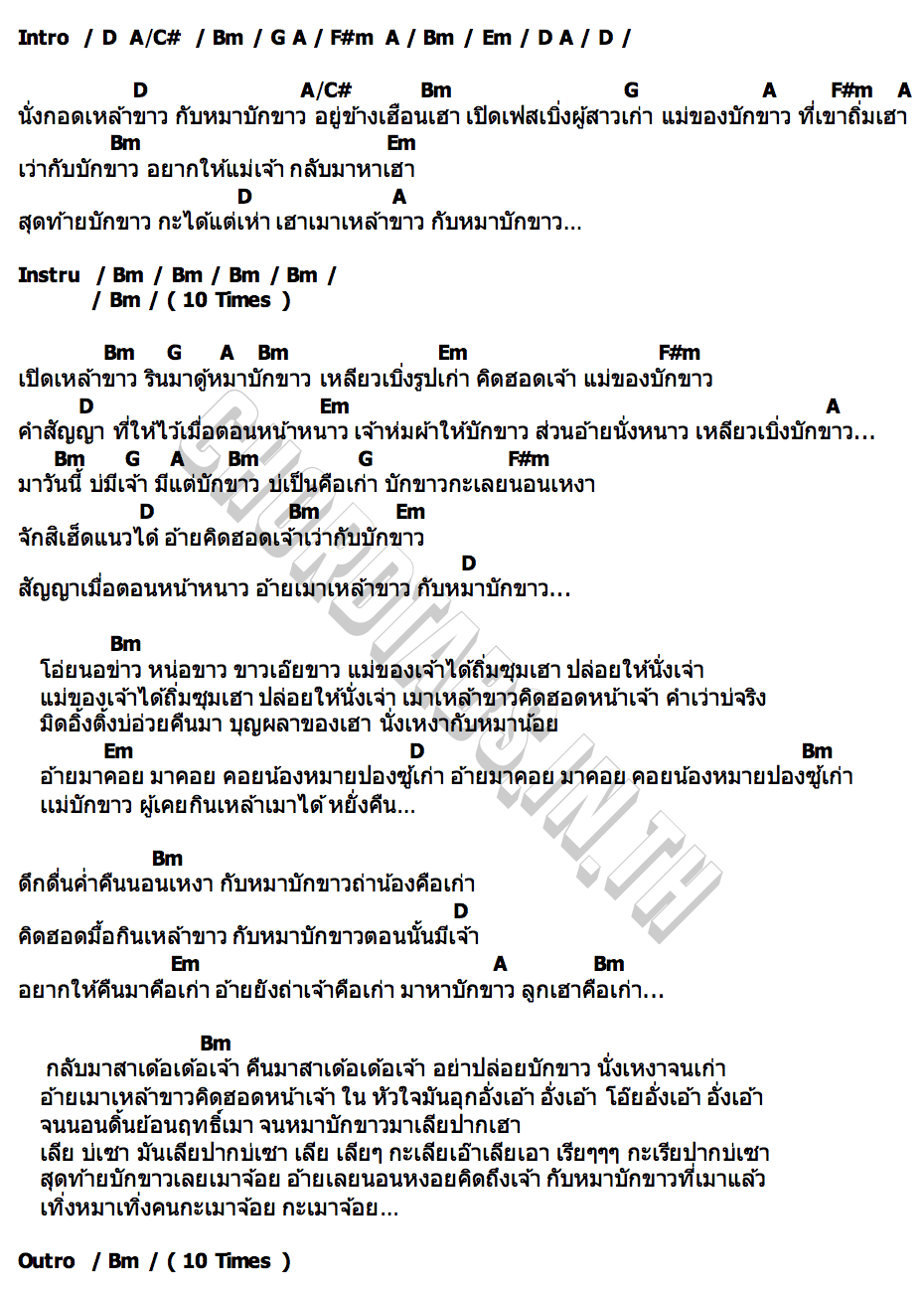 คอร์ด หมาบักขาวที่เจ้าลืม เจต พิษณุ