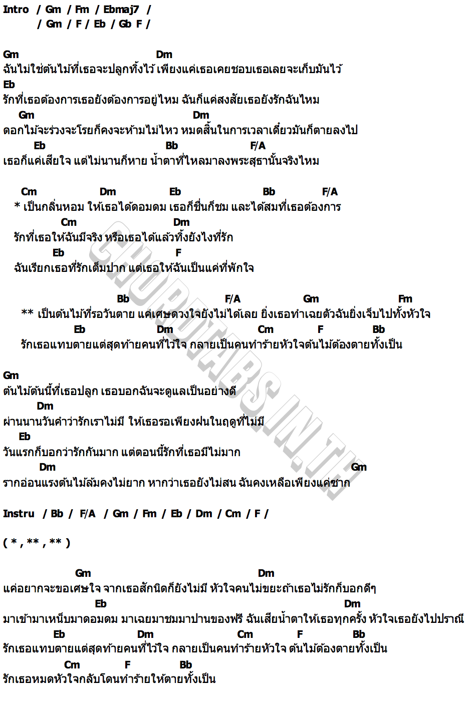 คอร์ด ต้นไม้ที่รอวันตาย ลูกแก้ว คาเนชั่น