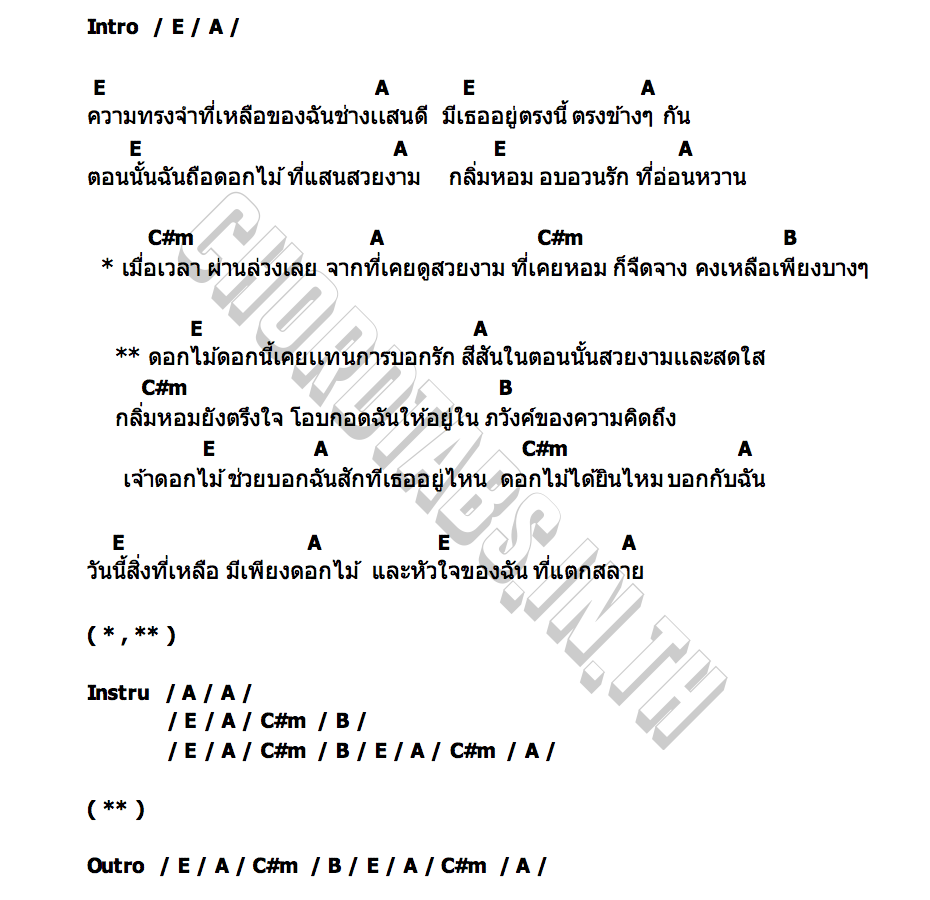 คอร์ด เธอ ดอกไม้ กับตัวฉัน (Dementia) Litter Hurt