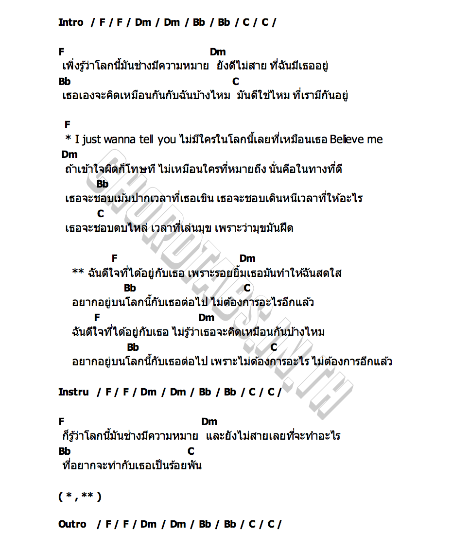 คอร์ด เยอบีร่า (Gerbera) Shineboys