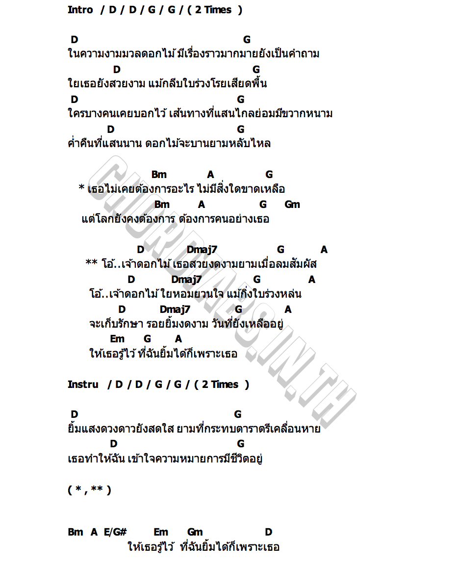 คอร์ด ดอกไม้ยิ้ม นายสว่าง