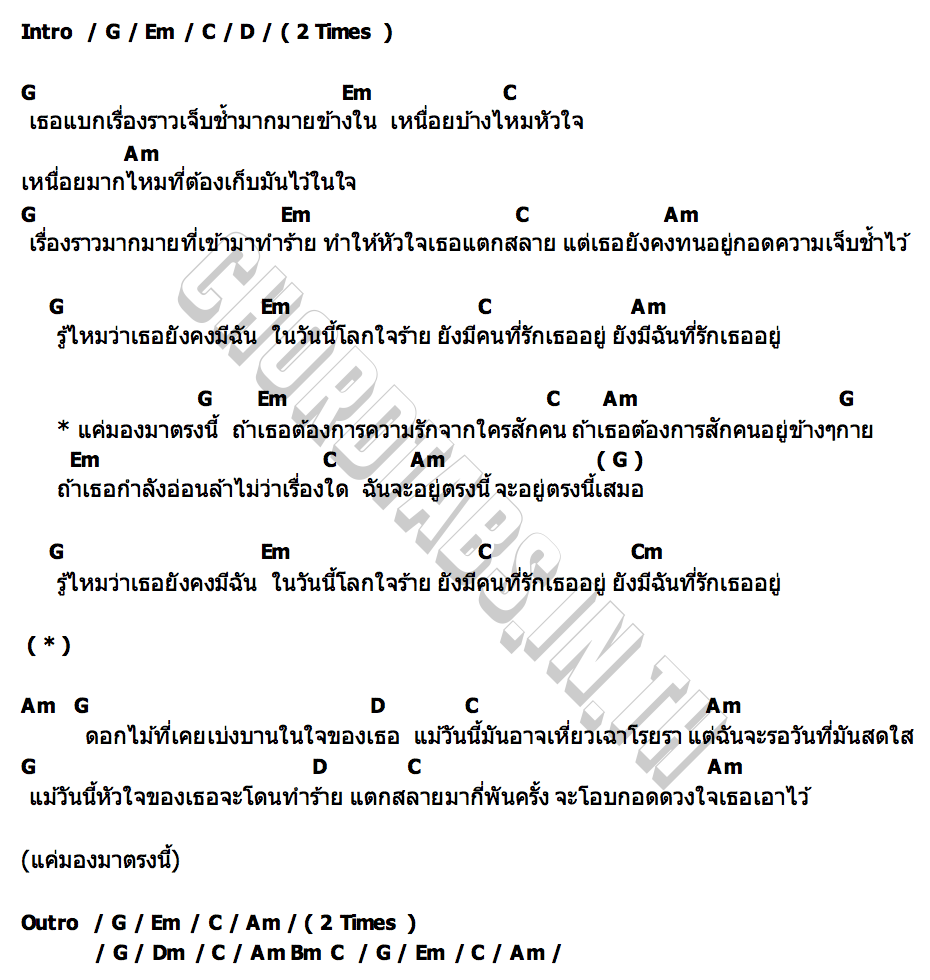 คอร์ด เอเรนเดล  EARENDEL ANATOMY RABBIT