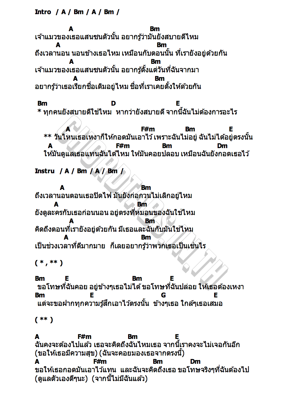 คอร์ด แมวของเรา Spoonfulz