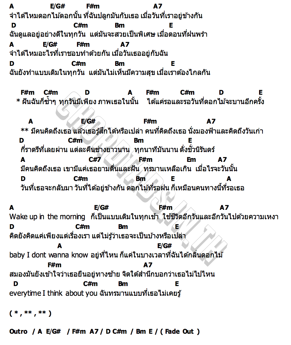 คอร์ด ดอกไม้ที่รอฝน THE TOYS x NONT TANONT