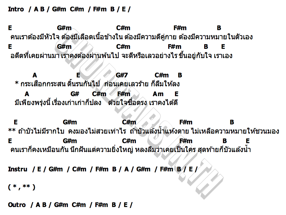 คอร์ด บัวแล้งน้ำ ส้มโอ Stage Fighter