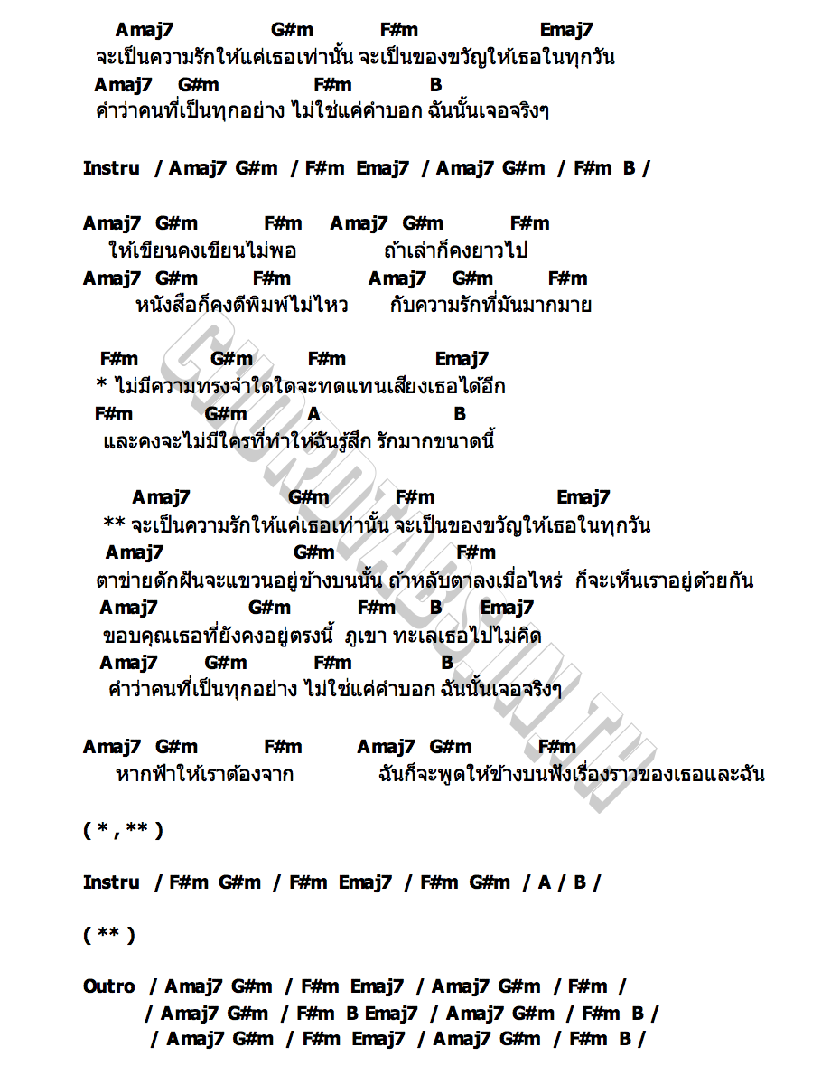 คอร์ด ตาข่ายดักฝัน YEW
