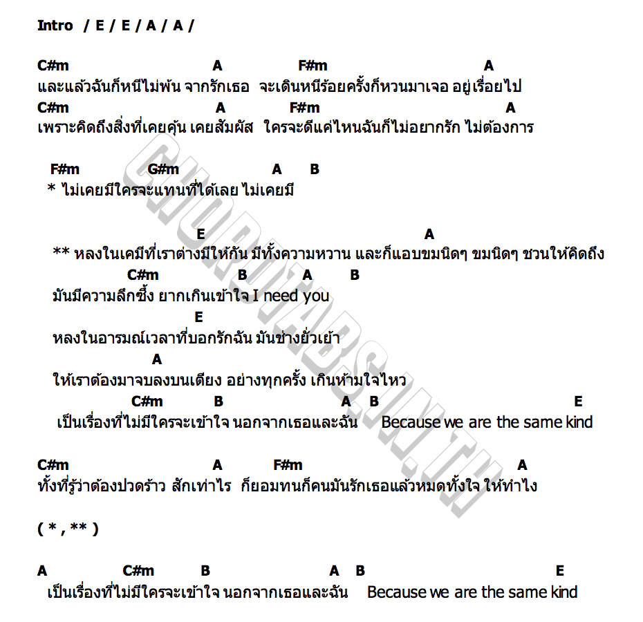 คอร์ด เคมี (Chemical) Wonderframe