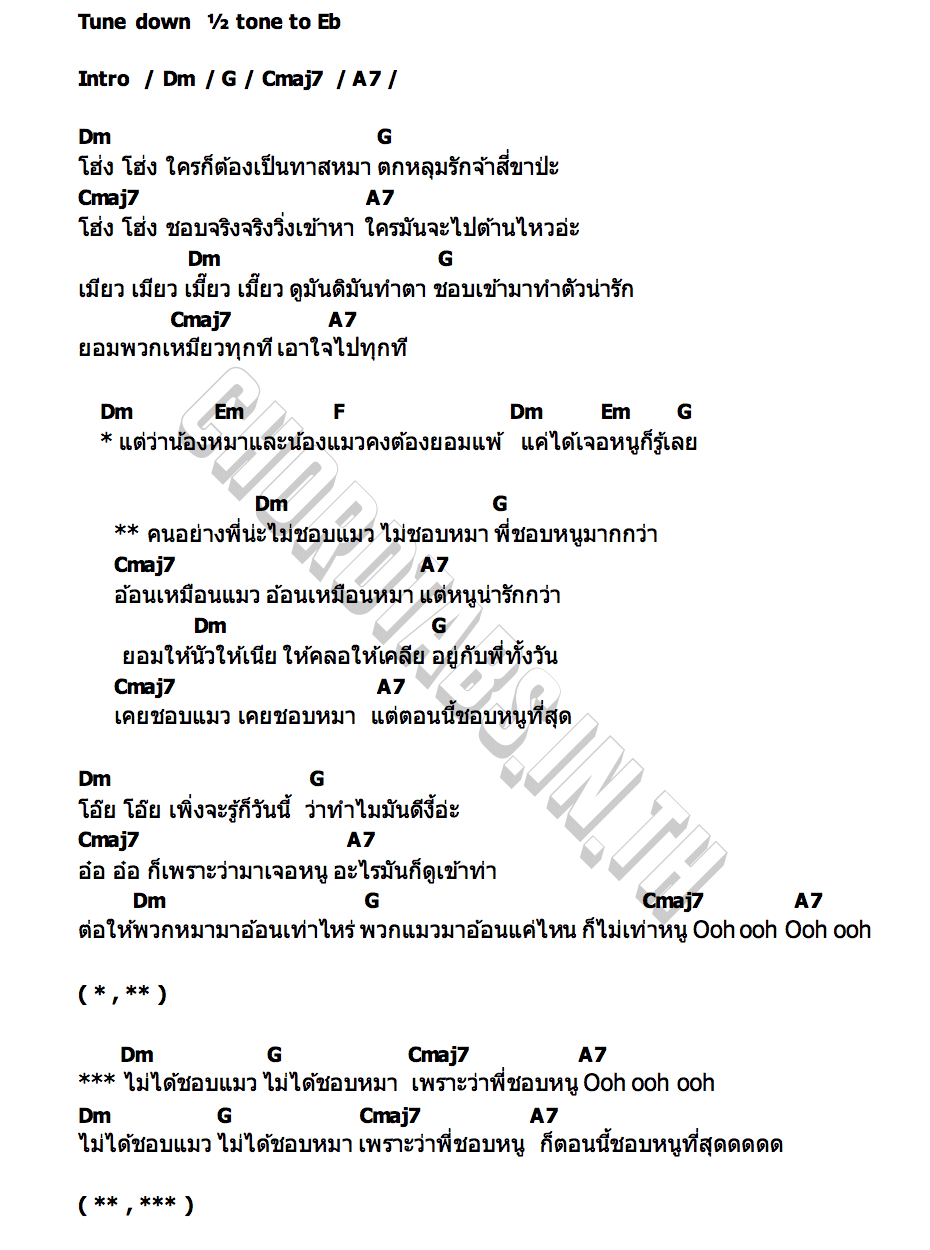 คอร์ด ไม่ชอบแมว ไม่ชอบหมา แต่ชอบหนู Bonnadol