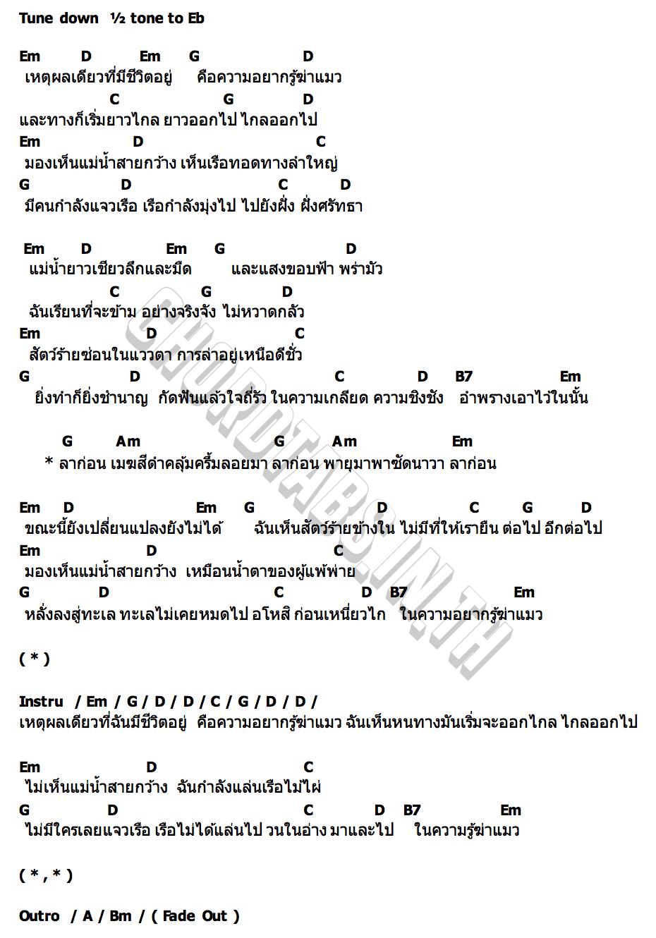 คอร์ด ความอยากรู้ฆ่าแมว ไววิทย์