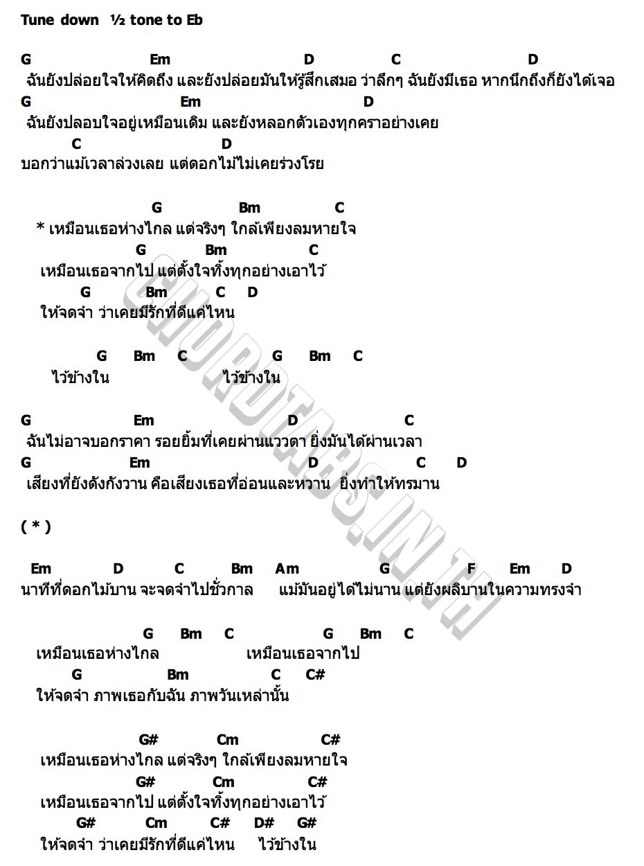 คอร์ด นาทีที่ดอกไม้บาน drg