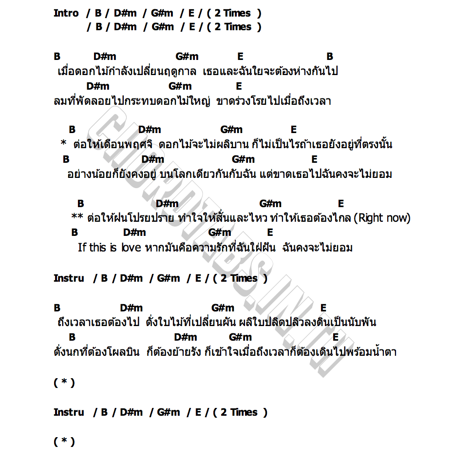 คอร์ด ต่อให้เดือนพฤศจิ ดอกไม้จะไม่ผลิบาน (Medlar Flower) themoonwillalwaysbewithme