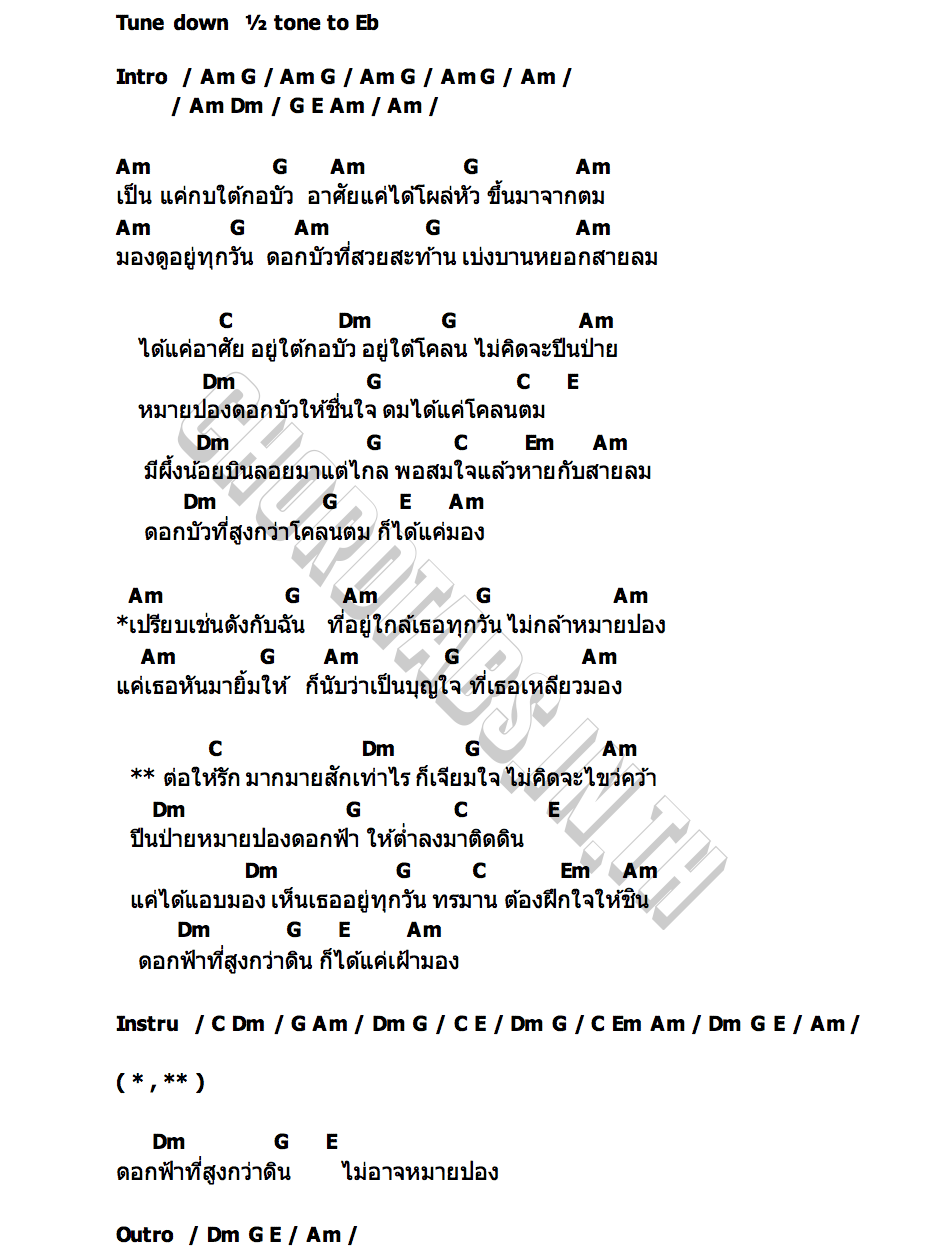คอร์ด กบใต้กอบัว หน่อง นาคราชคู่