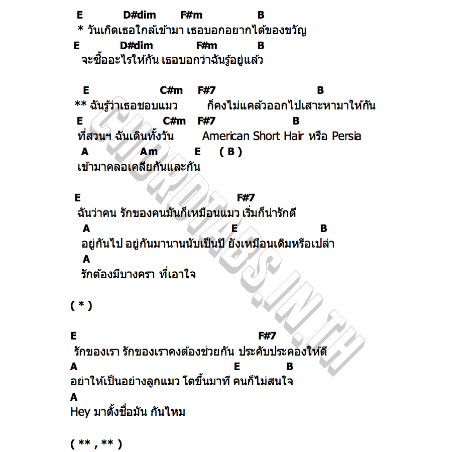 คอร์ด แมว Superbaker