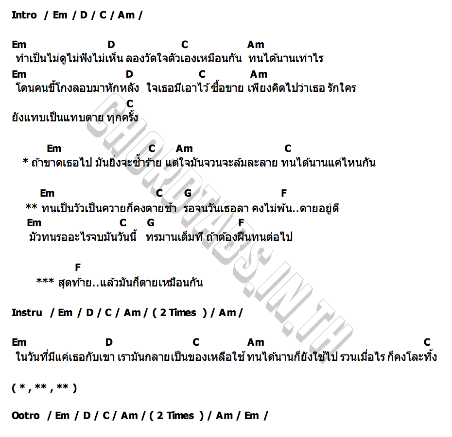 คอร์ด ทนเป็นวัวเป็นควาย Y NOT 7