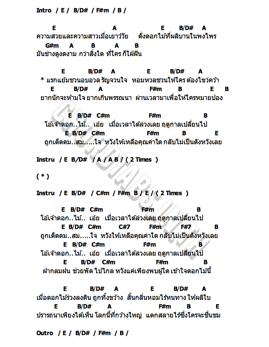 คอร์ด โอ้เจ้าดอกไม้ กอกี้ กวิสรา