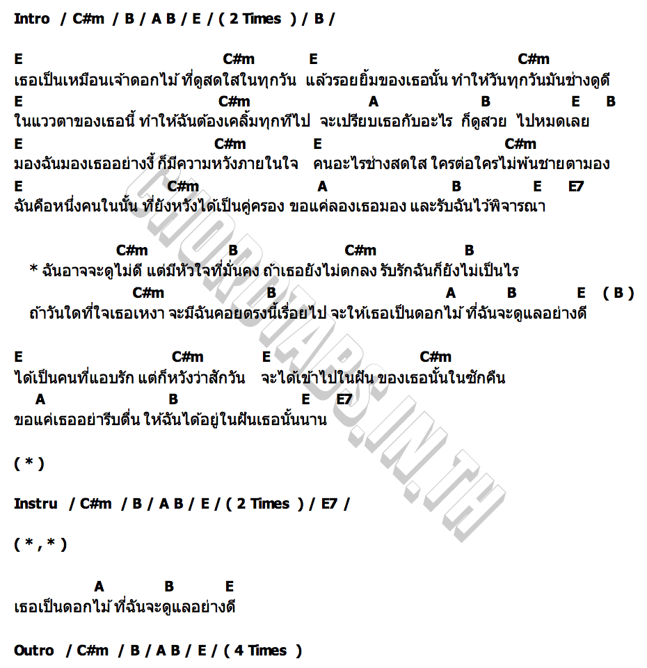 คอร์ด เจ้าดอกไม้ ริมระเบียง