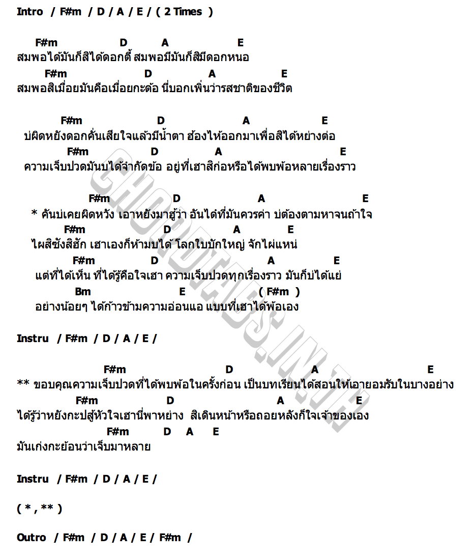 คอร์ด บ่เจ็บกะบ่ใหญ่ ดอกรัก ดวงมาลา