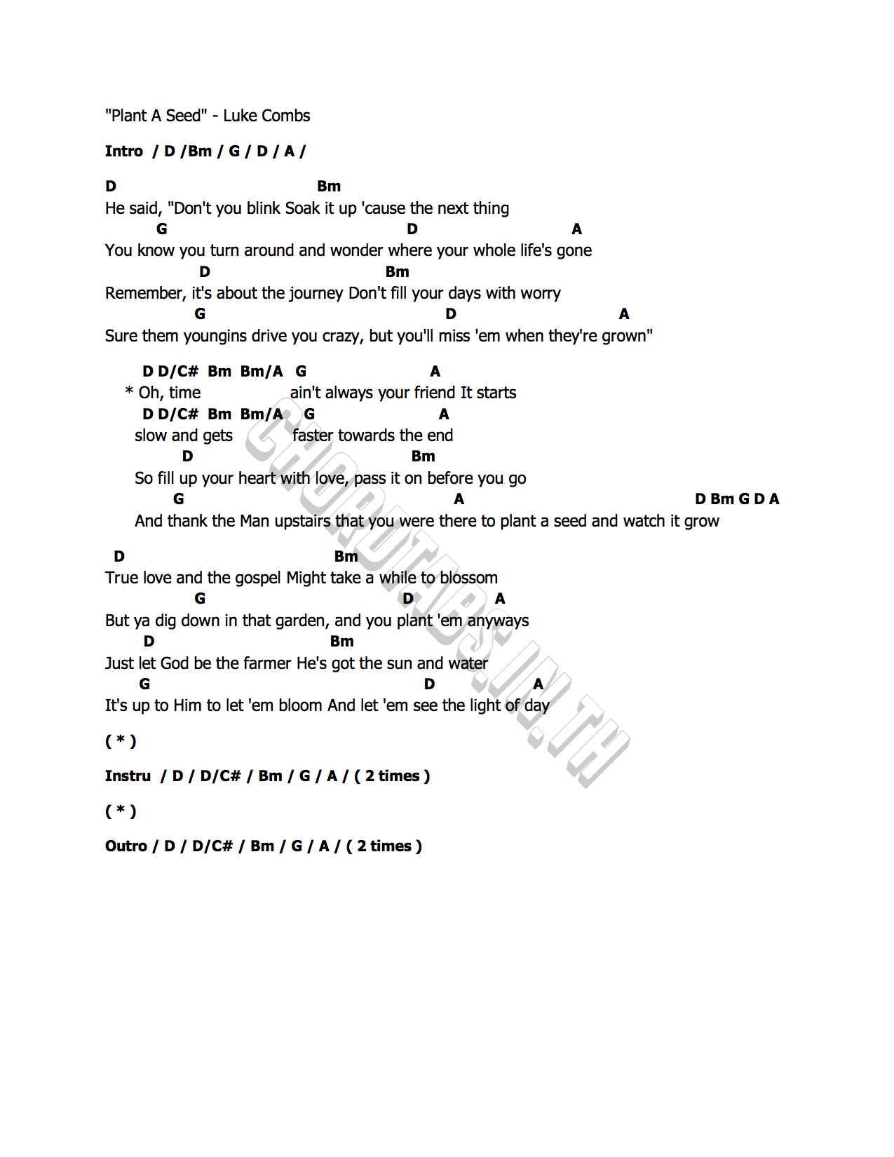 คอร์ด Plant A Seed Luke Combs