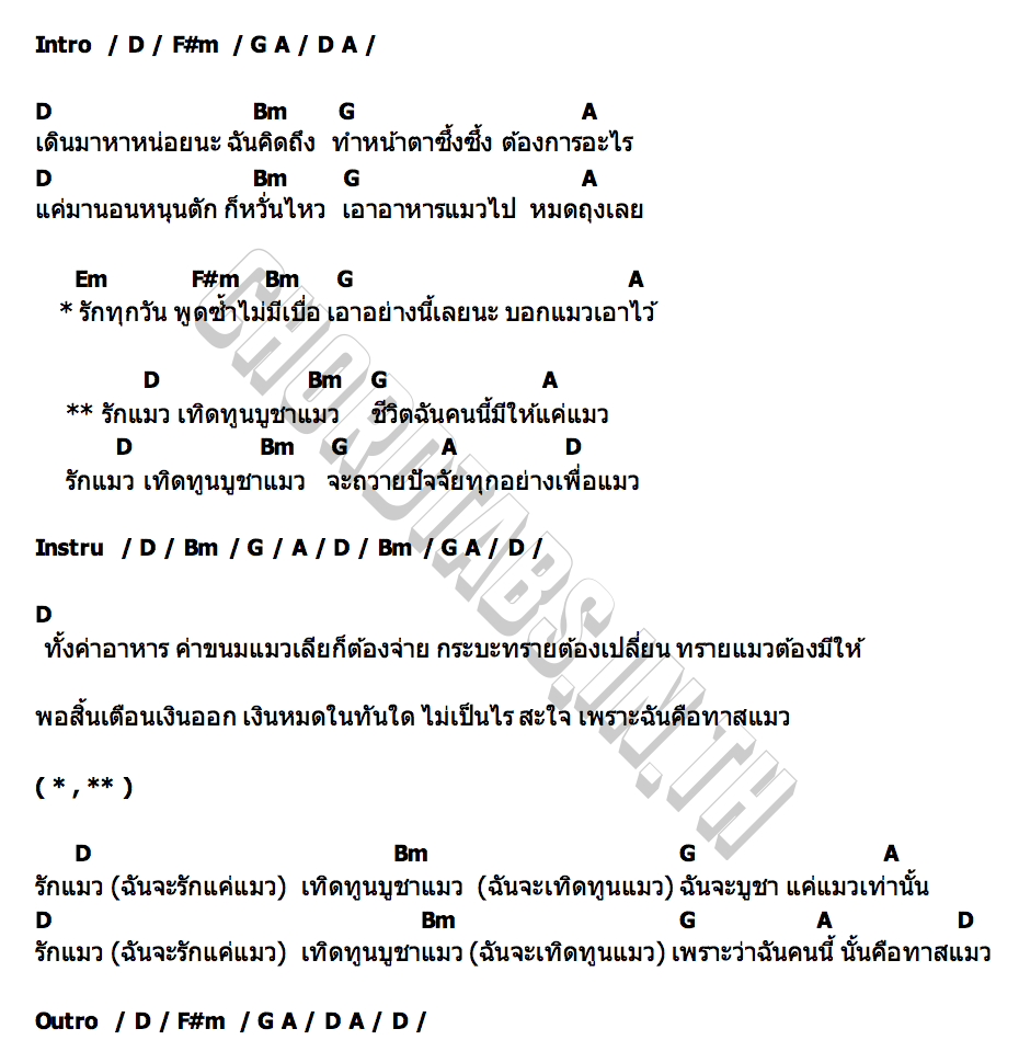 คอร์ด ทาสแมว เจ๋ง อู้บ่จ้าง