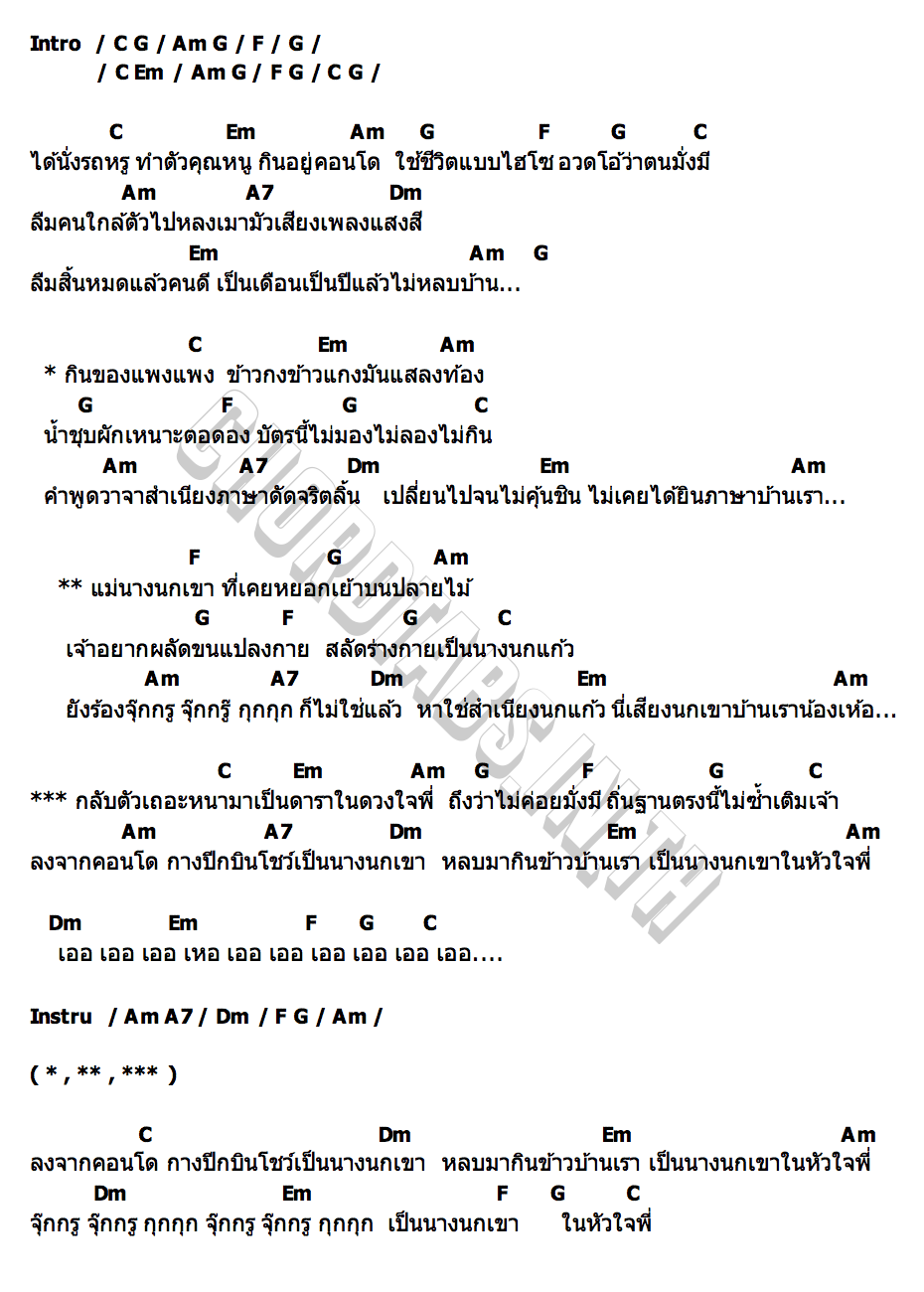 คอร์ด นางนกเขา แม็ก โฟล์คซอง