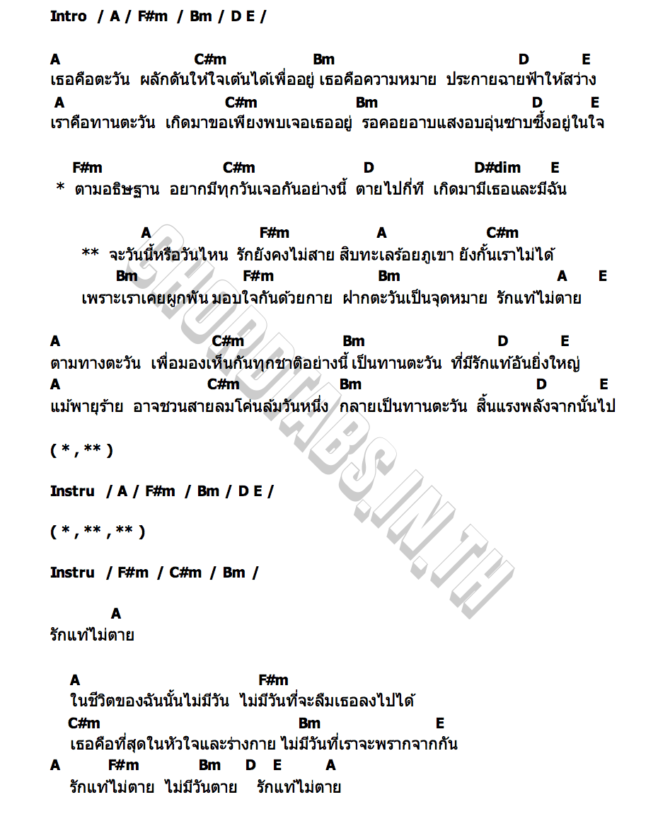 คอร์ด รักแท้ไม่ตาย Tik Shiro