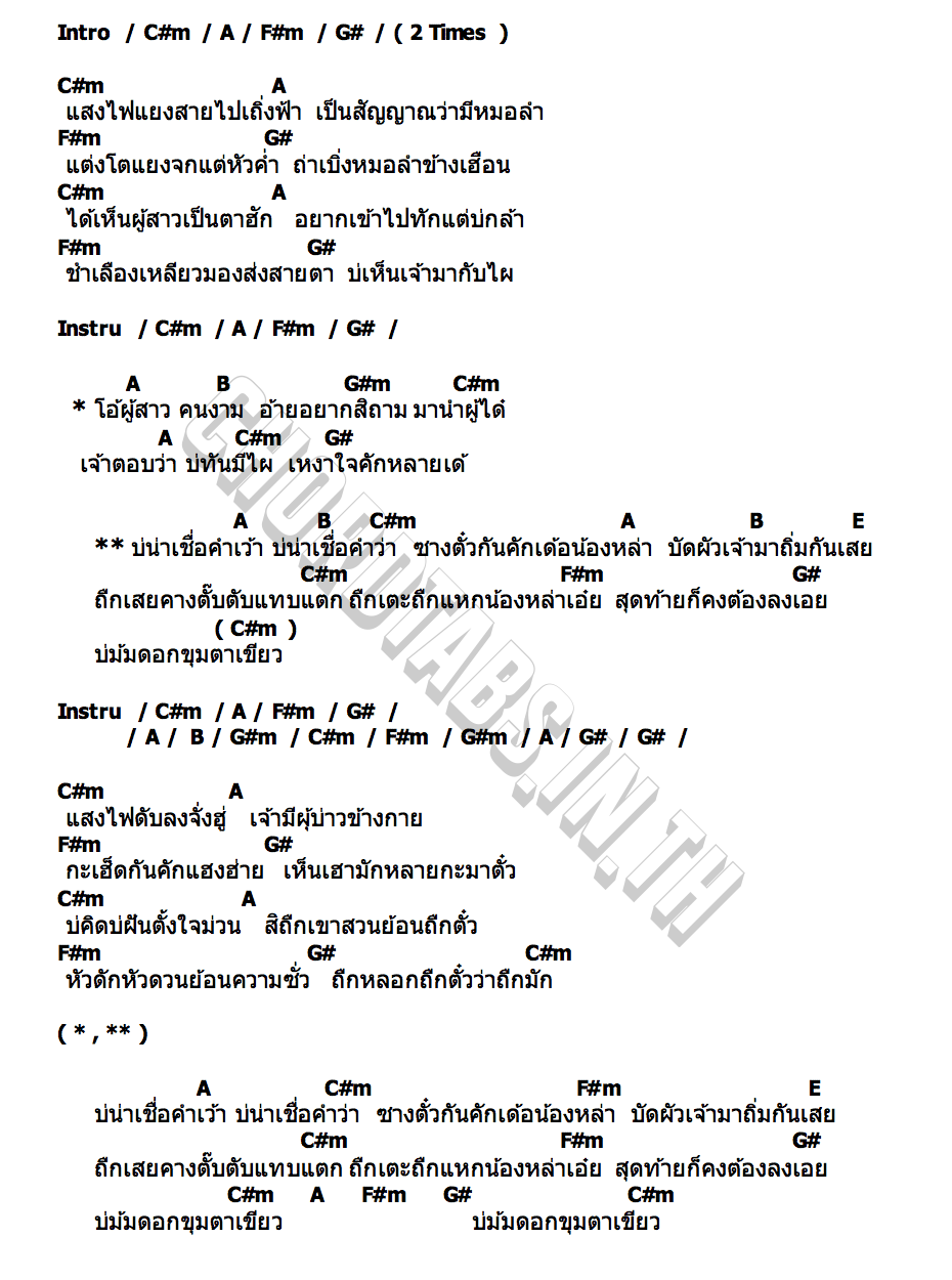 คอร์ด ขุมตาเขียว หนามเตย ไทดอลมิวสิค