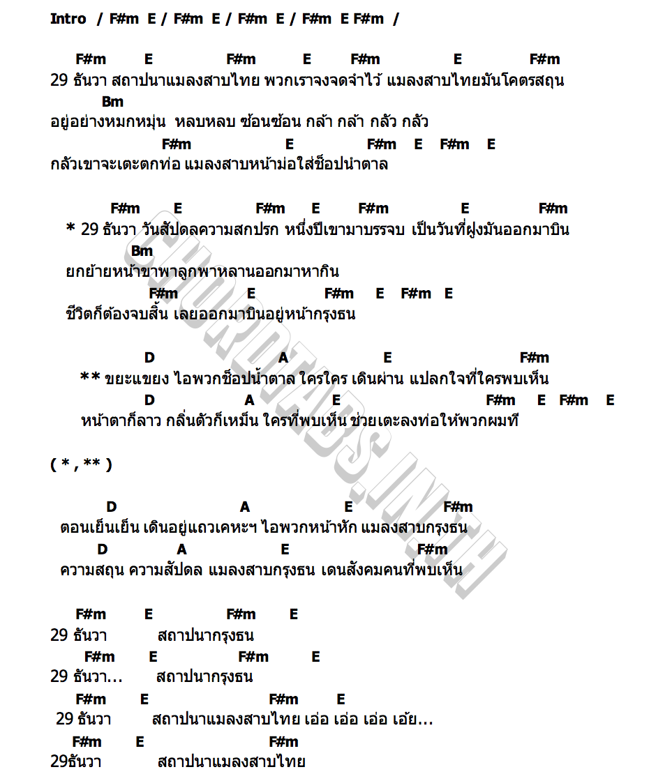 คอร์ด แมลงสาบ กรุงธน แมลงสาบ กรุงธน