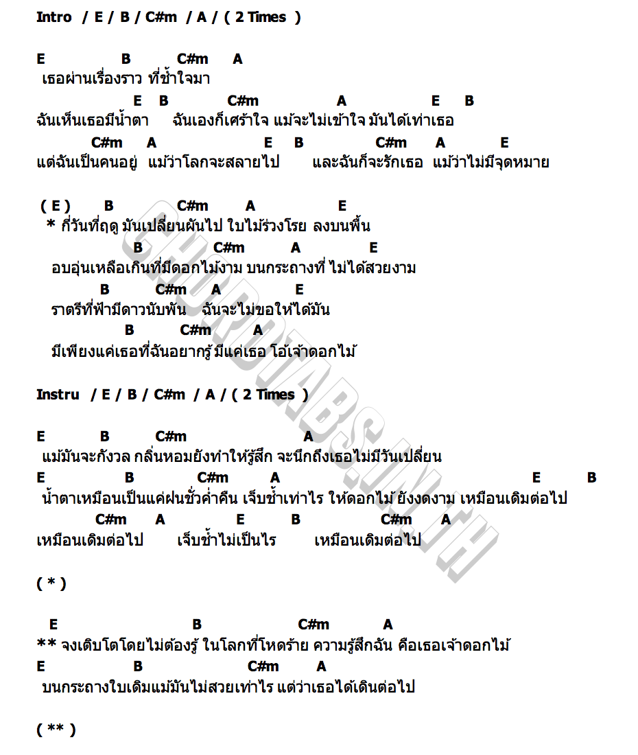 คอร์ด กระถางดอกไม้ใบเดิม ที่ไม่ค่อยสวยงามเท่าไหร่ SAW