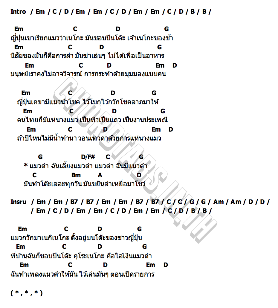 คอร์ด คุโระเนโกะ แมวดำ เล็ก คาราบาว