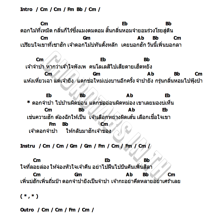 คอร์ด เจ้าดอกจำปา เมล ตวิษา x ตุ๊กตา นริศรา