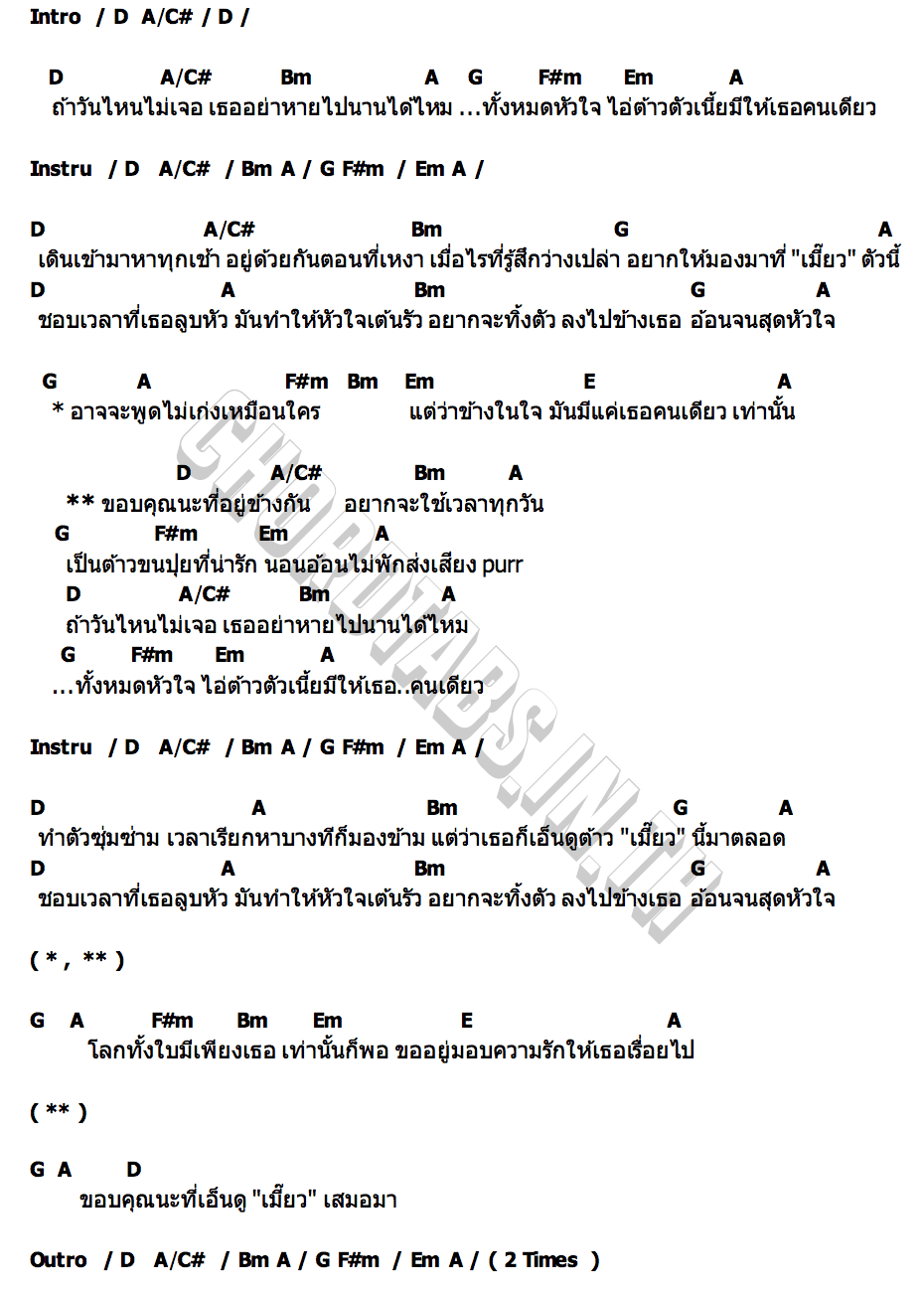 คอร์ด ไทป์แมว ( Cat Person ) JAJAH JIRAA