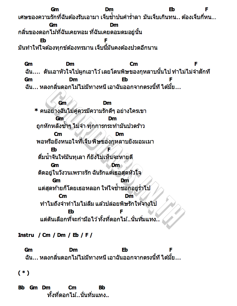 คอร์ด พิษกุหลาบ แนน อลีส Tig