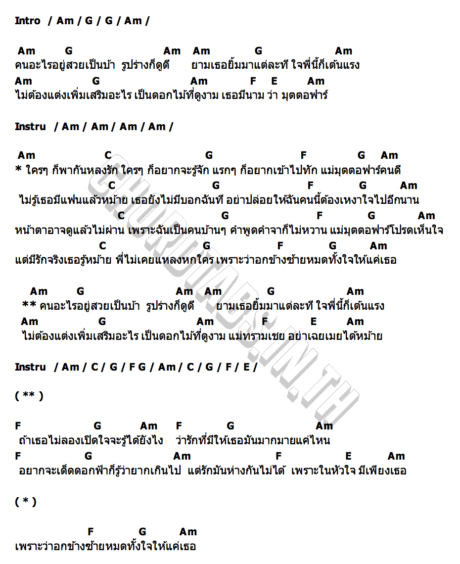 คอร์ด มุตตอฟา(ผู้ถูกเลือก) วงน้องจ้อง