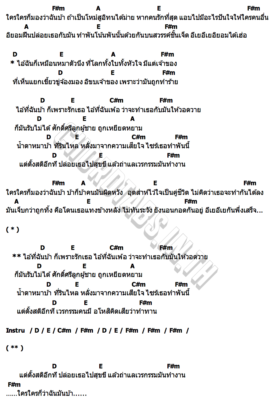 คอร์ด น้ำตาหมาบ้า ไก่ กางเกง
