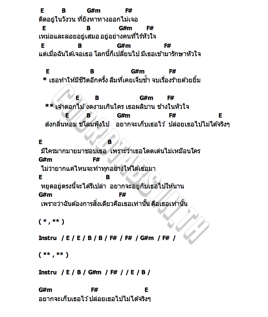 คอร์ด ดอกไม้ MOLON