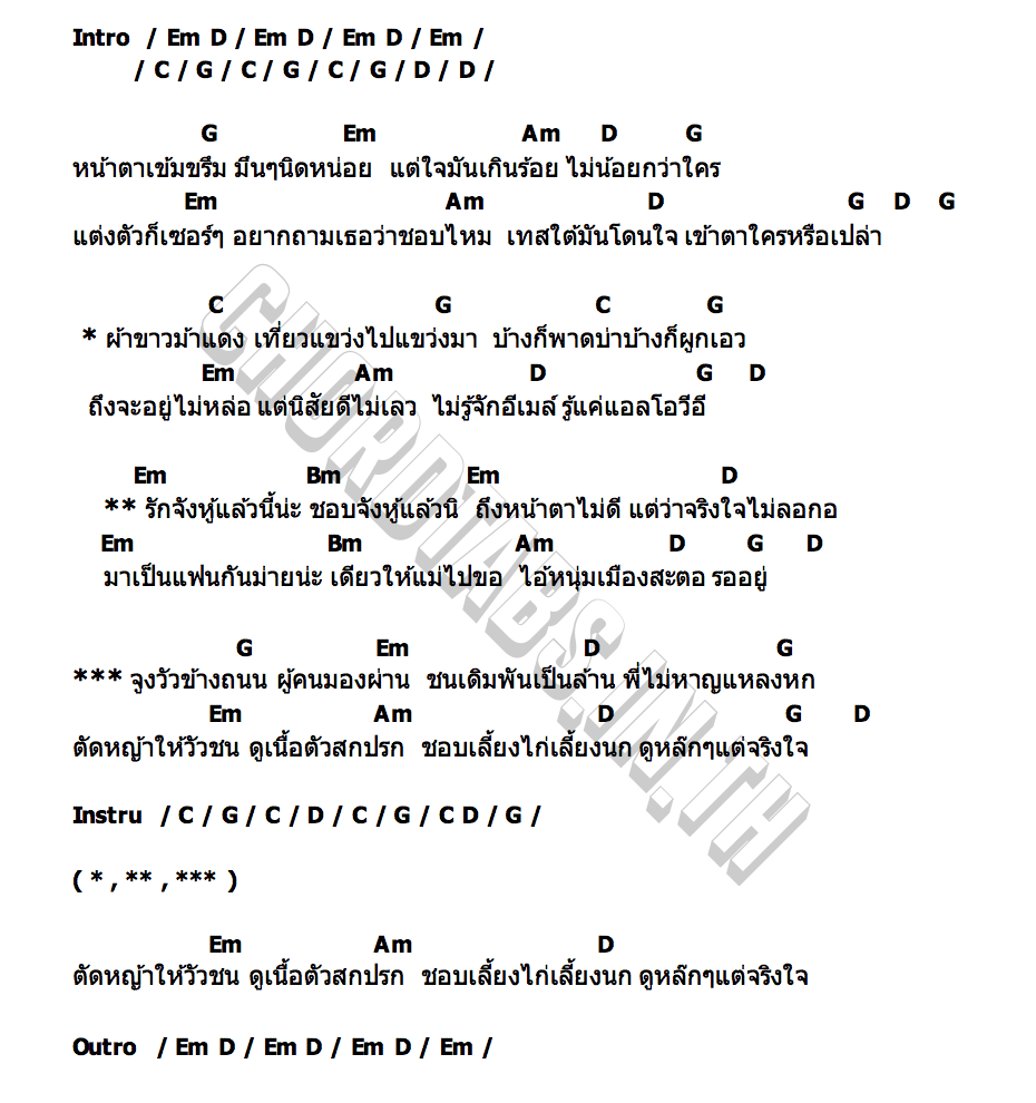 คอร์ด ไอ้หนุ่มเทสใต้ กล้วย แสตมป์  หนวด จิรภัทร  เต็ม นาวา  เดช อิสระ