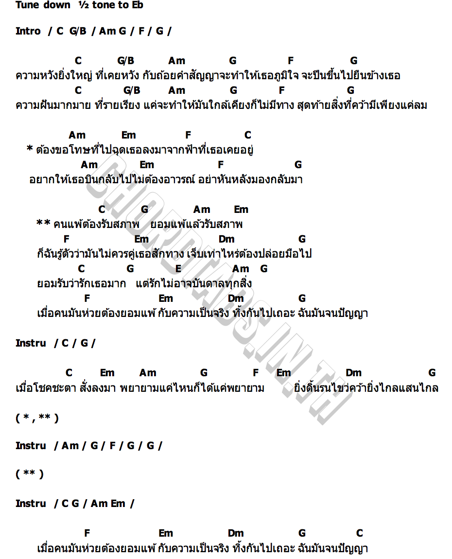 คอร์ด รับสภาพ Wolftone